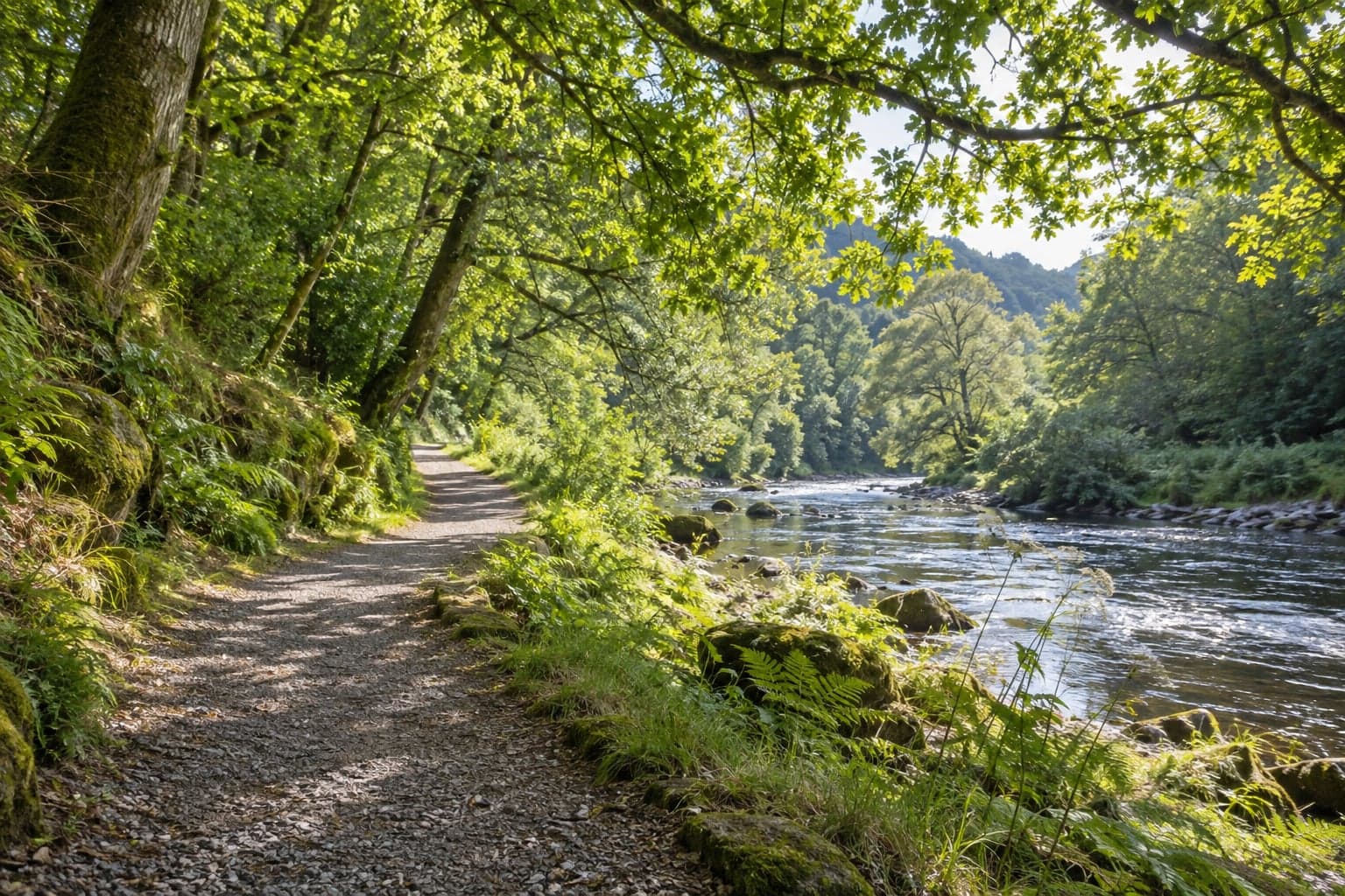 A quiet riverside path beneath sunlit trees